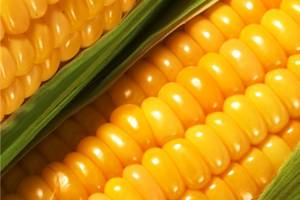 Варёная кукуруза улучшает метаболизм